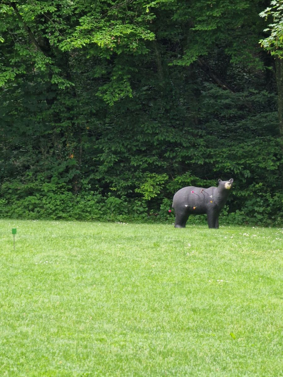 3D_Turnier_Aarberg_800_FULL_0046