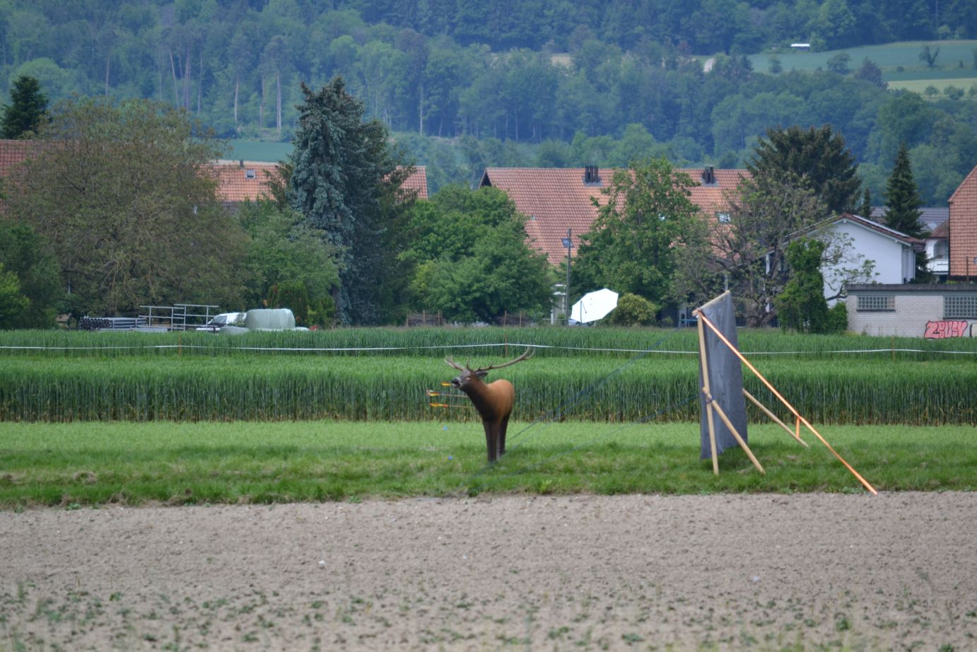 3D_Turnier_Aarberg_800_FULL_0350